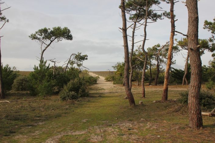 Stage jeûne et randonnée à Noirmoutier